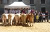 st amans 2011 groupe